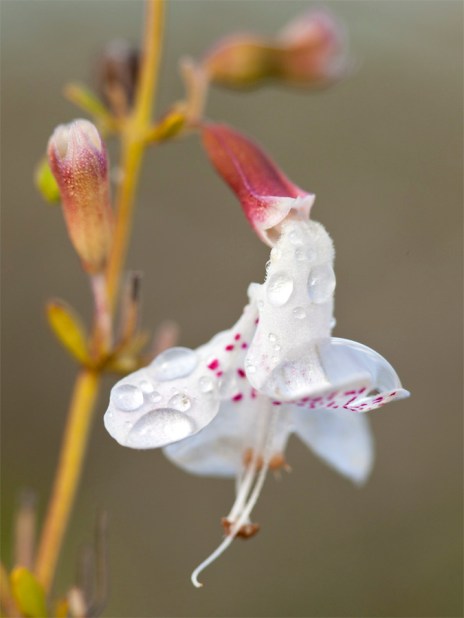 11102014_archbold_7982