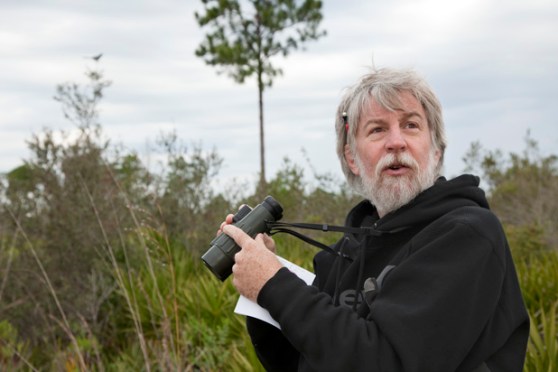 11192014_archbold_scrubjaycensus_8361