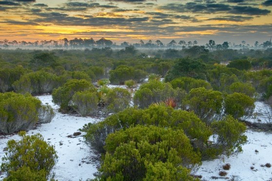 Week8_Photo1_AncientDunes_Dawn
