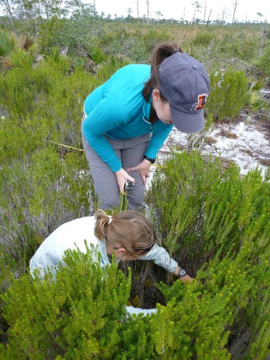 Week8_Photo3_AncientDunes_Researchers