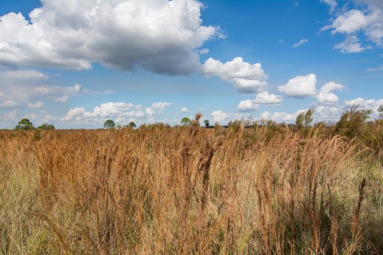 Week13_Photo2_afterplanting