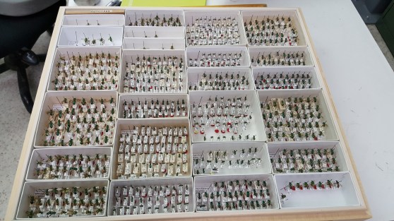 Week14_Photo1_Insect_Drawer