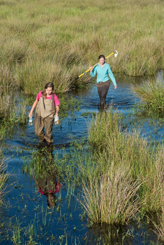 Week16_Photo1_BoughtonSampling_CarltonWard