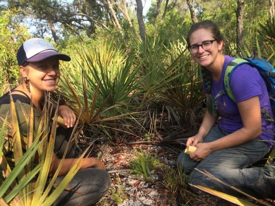 Week17_Photo2_Interns_ABS