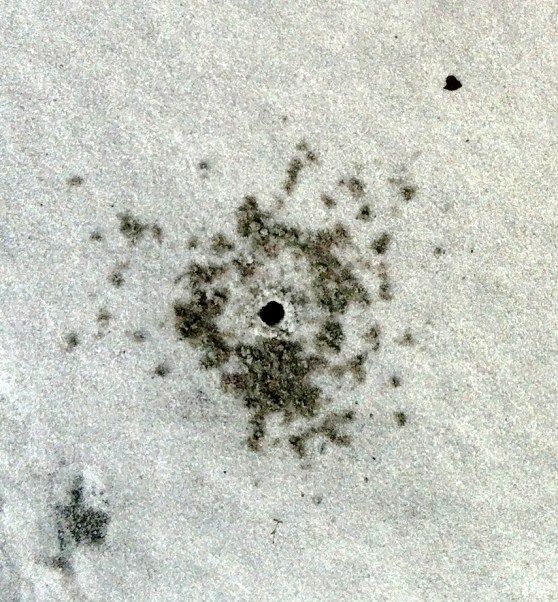 Week30_Photo2_Carrel