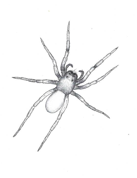 Week30_Photo3_Deyrup