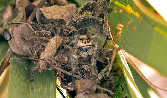 Week32_Photo3_IntoArchbold_JenBrown3