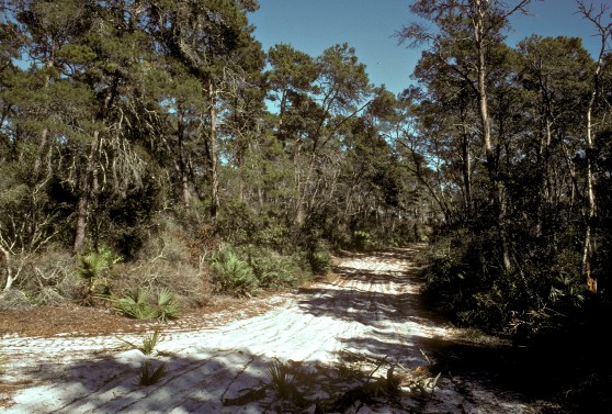 Week48_Photo1_photopoints