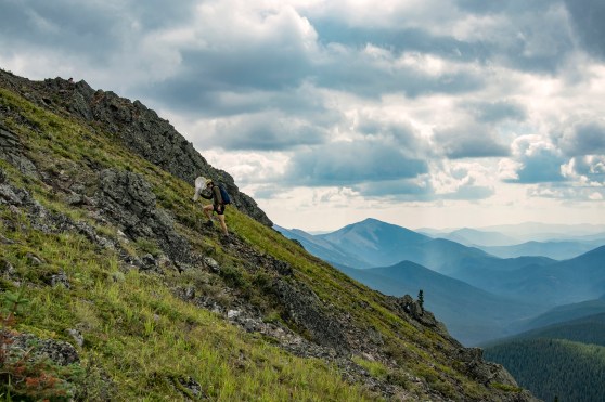 Week9301_Butterfly_SeanBishop