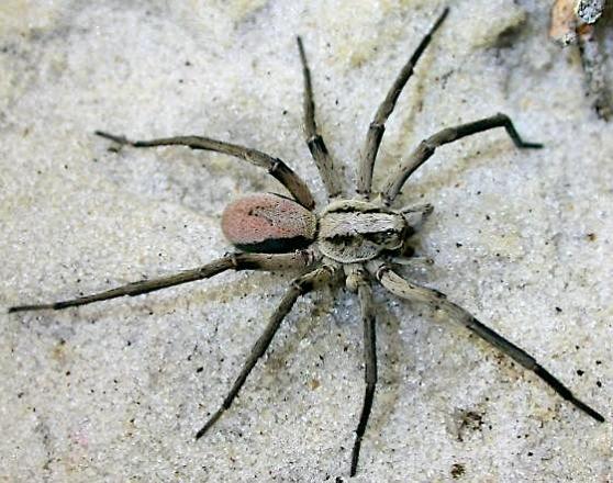 Week 143_Photo 1 by Jeff Hollenbeck