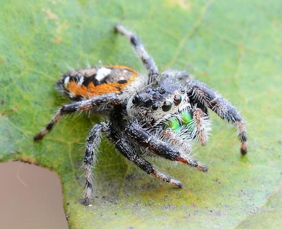 Week 143_Photo 2 by Giff Beaton