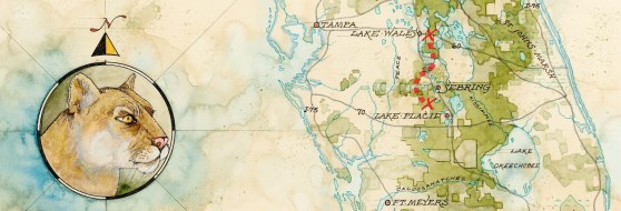 Week144_Photo1_Ranch2RidgeWatercolor_CreditFlrodaWildlifeCorridor