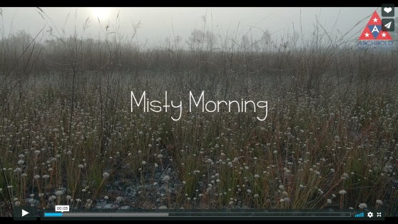 MistyMorning_screenshot (1)