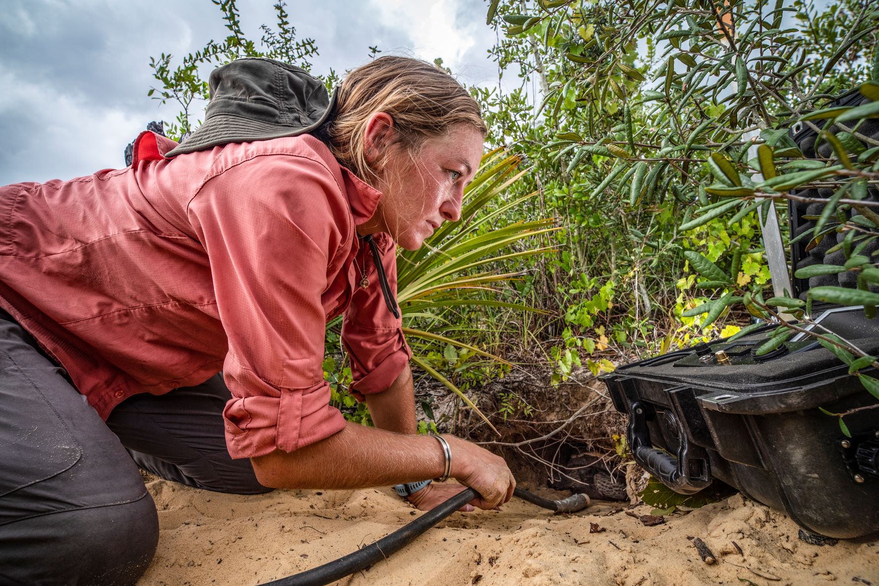 Down the Gopher Hole… – The Scrub Blog